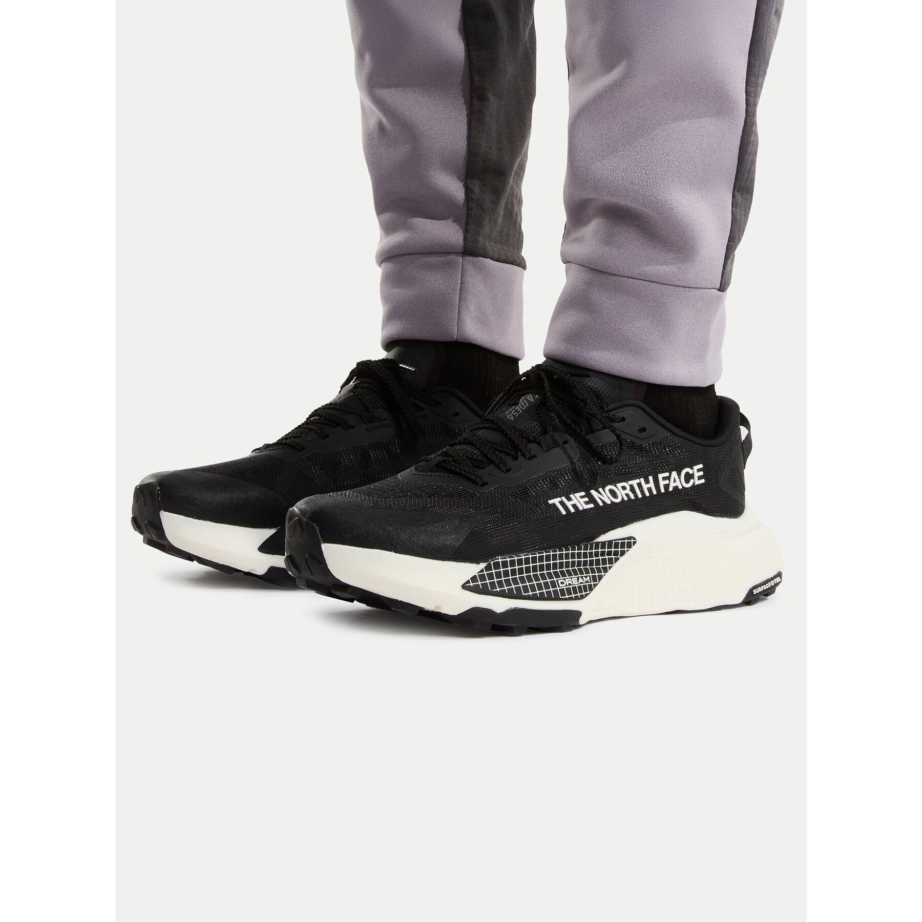The North Face Маратонки за бягане Altemesa 500 V2 NF0A8DAJTFL1
